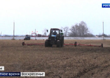 Как власти помогут потерявшим работу татарстанцам