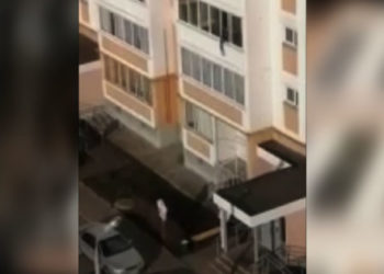 В самоизоляции челнинец начал выкидывать мусор из окна