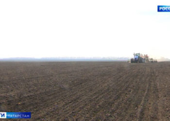 Росреестр Татарстана продолжает работать в штатном режиме