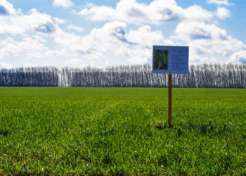 Рустам Минниханов проверил, как в Буинском районе проходят посевные работы