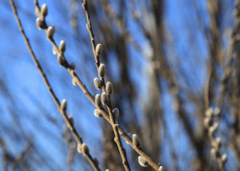 В Татарстане потеплеет до +15 градусов