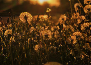 В Казани потеплеет до +21 градуса