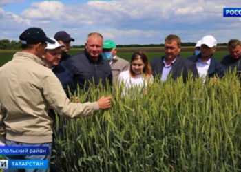 В Казани пройдут Всемирные зимние Специальные Олимпийские игры