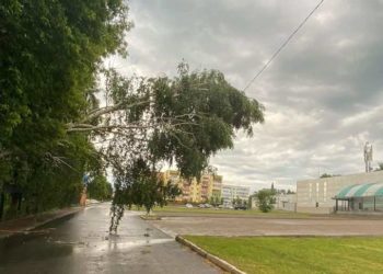 В Нижнекамске устраняют последствия сильного ливня и урагана