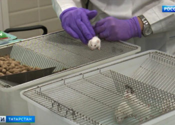 В КФУ начали тестировать вакцину от коронавируса