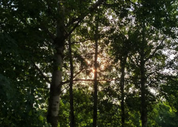 В Татарстане предсказали грозы и усиления ветра