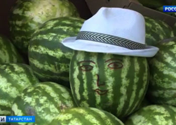 В Татарстане прошли рейды против несанкционированной торговли арбузами