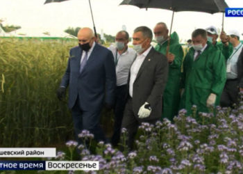 В Татарстане нуждающимся раздали 210 тысяч продуктовых наборов