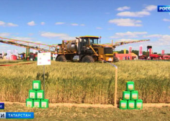 Элла Панфилова озвучила предварительные итоги голосования