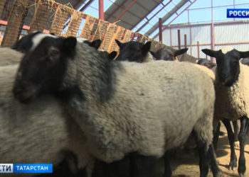 Жильцы пострадавших от хлопка газа квартир в Казани до сих пор ждут ремонта