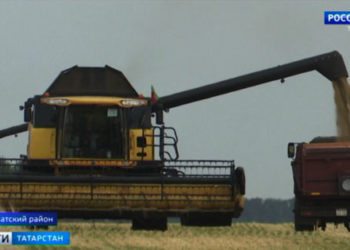  В Татарстане началась уборка урожая