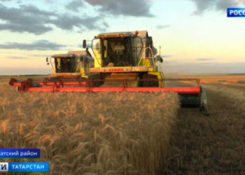 В Татарстане не ожидают второй волны коронавируса