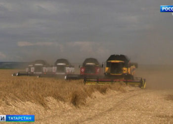 В Татарстане не выявлены случаи коронавируса в лагерях и гостиницах