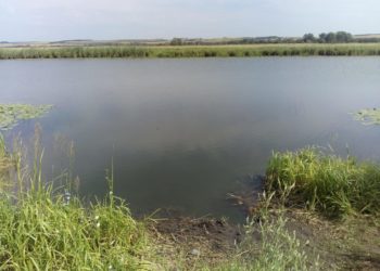 В Татарстане из озера Багшай извлекли тело мужчины