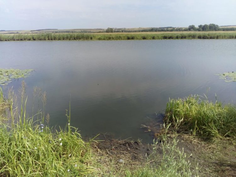 В Татарстане из озера Багшай извлекли тело мужчины