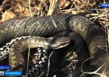 В Казани установят стелу-символ звания «Города трудовой доблести»