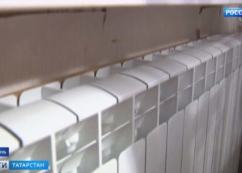 В Татарстане начался сбор урожая черноплодной рябины