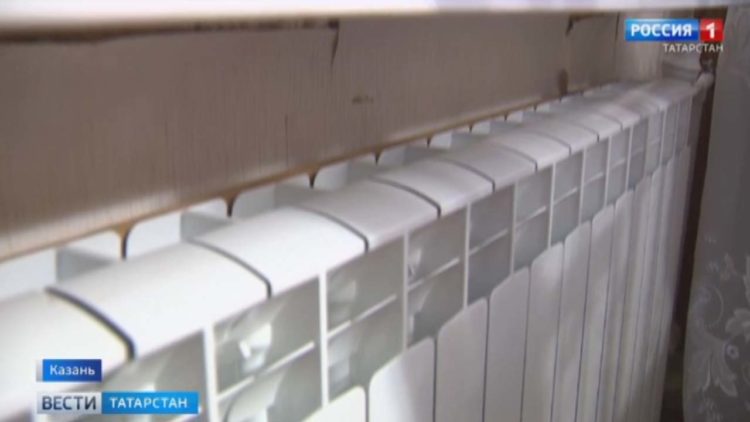 В Татарстане начался сбор урожая черноплодной рябины