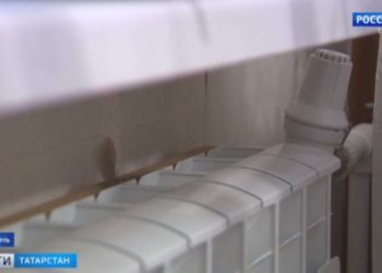 В Татарстане начался сбор урожая черноплодной рябины