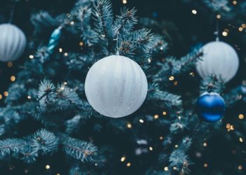 В Челнах начали устанавливать новогодние елки