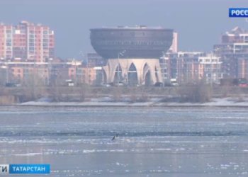 В Татарстане начался сбор урожая черноплодной рябины