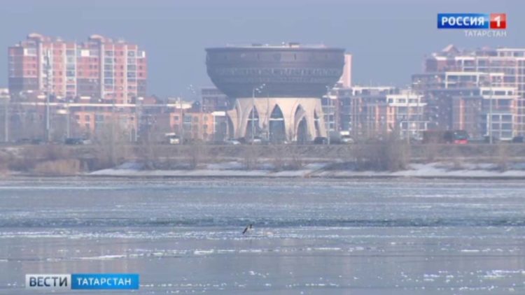 В Татарстане начался сбор урожая черноплодной рябины