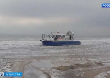 В Татарстане начался сбор урожая черноплодной рябины