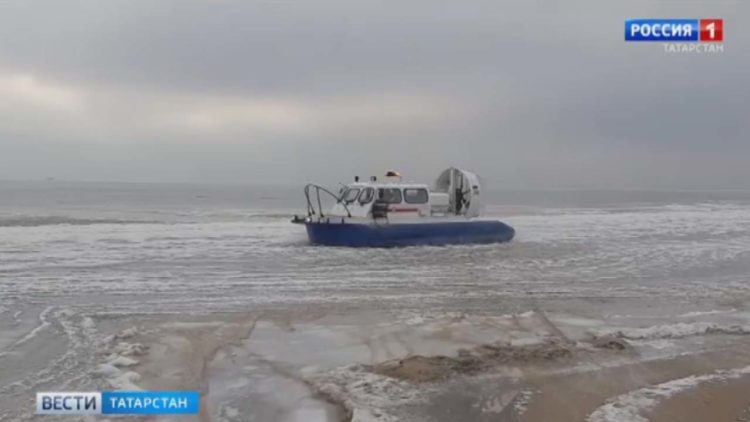 В Татарстане начался сбор урожая черноплодной рябины