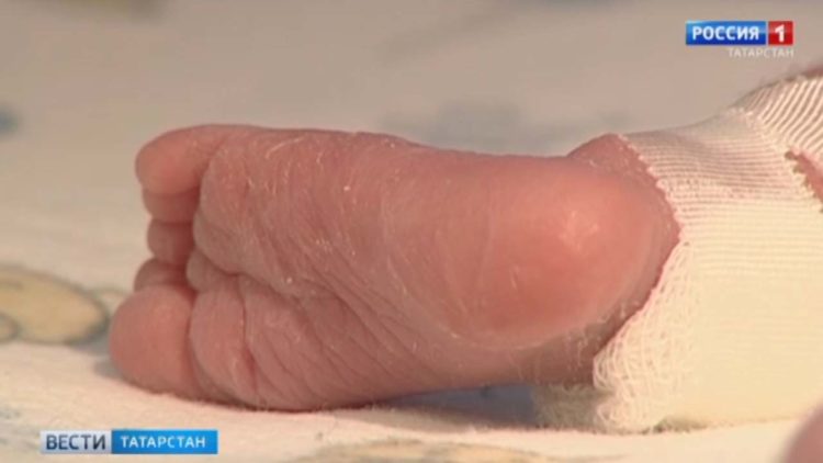 В Татарстане начался сбор урожая черноплодной рябины