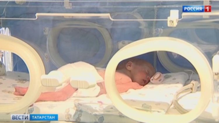 В Татарстане начался сбор урожая черноплодной рябины