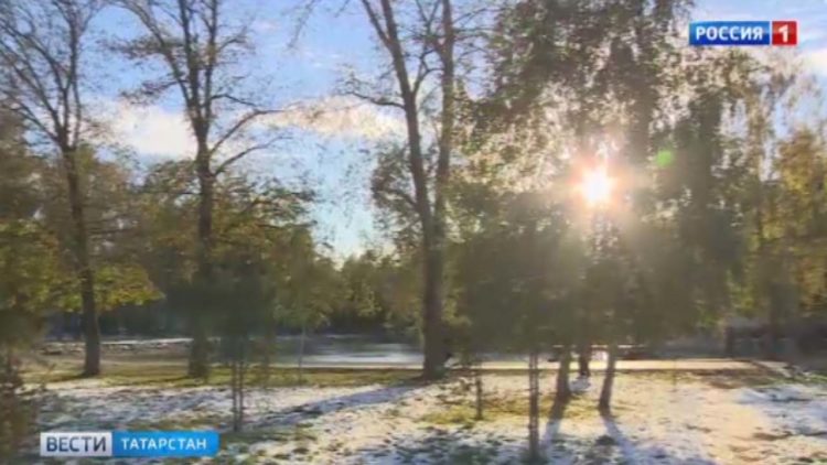 В Казани проходит Всероссийский турнир по волейболу среди ветеранов МВД