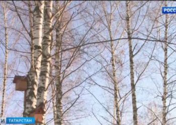 В Татарстане пациентам с коронавирусом начали доставлять медикаменты на дом