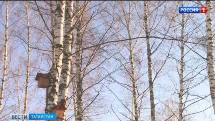 В Татарстане пациентам с коронавирусом начали доставлять медикаменты на дом