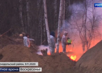 На птицефабрике в Зеленодольском районе пришлось уничтожить все поголовье из-за птичьего гриппа