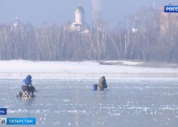 В Татарстане начался сбор урожая черноплодной рябины
