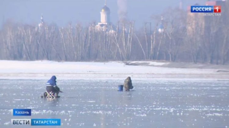 В Татарстане начался сбор урожая черноплодной рябины