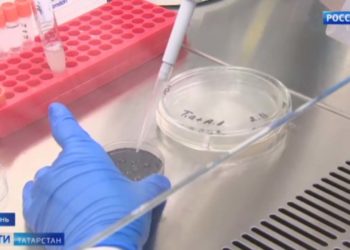 Владимир Путин назначил Ирека Файзуллина главой Минстроя РФ