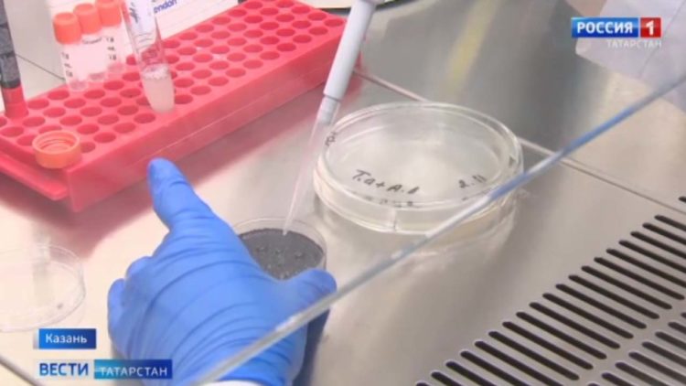 Владимир Путин назначил Ирека Файзуллина главой Минстроя РФ