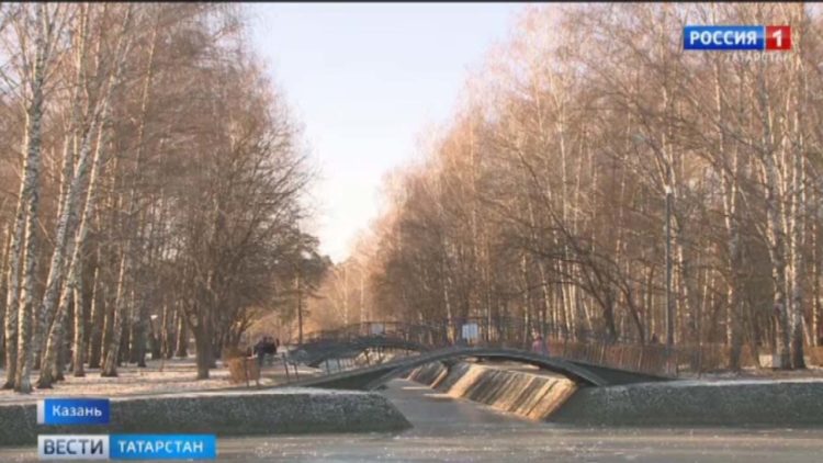 В Татарстане пациентам с коронавирусом начали доставлять медикаменты на дом