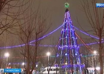 В Татарстане разводят племенных быков элитных мировых пород — репортаж с предприятия