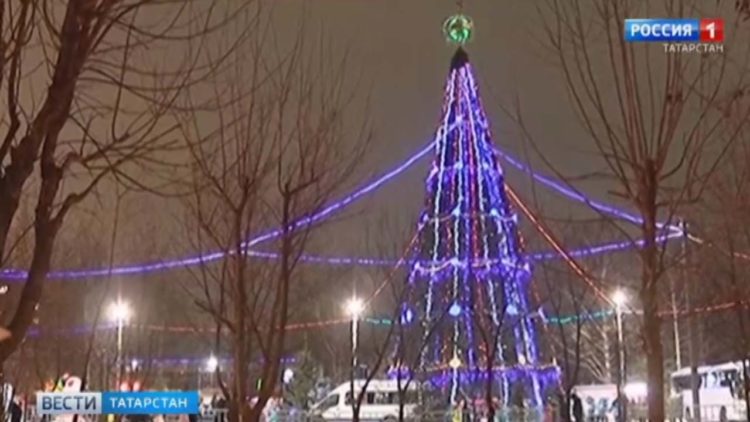 В Татарстане разводят племенных быков элитных мировых пород — репортаж с предприятия