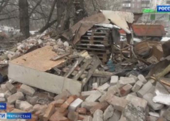 В Казани в одном из приютов для животных нашли труп собаки