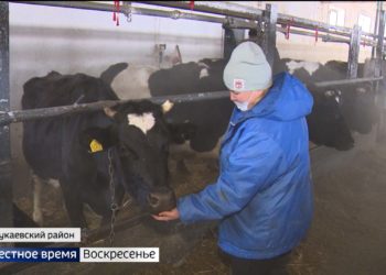 В Татарстане приступили к проектированию моста через Волгу