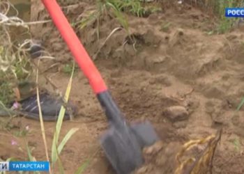 Специальная Олимпиада в Казани соберет 2 тысячи спортсменов