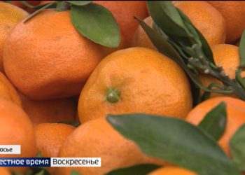 В Татарстане приступили к проектированию моста через Волгу