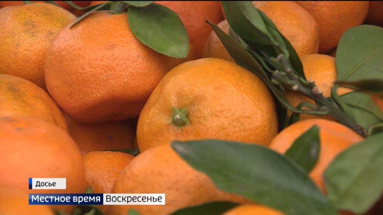 В Татарстане приступили к проектированию моста через Волгу