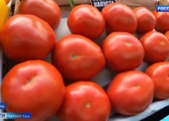 Врачи РКБ спасли жизнь 77-летнего пенсионера с огромной опухолью на голове