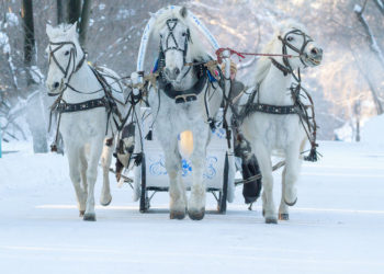 Ял концерты (13.12.20)
