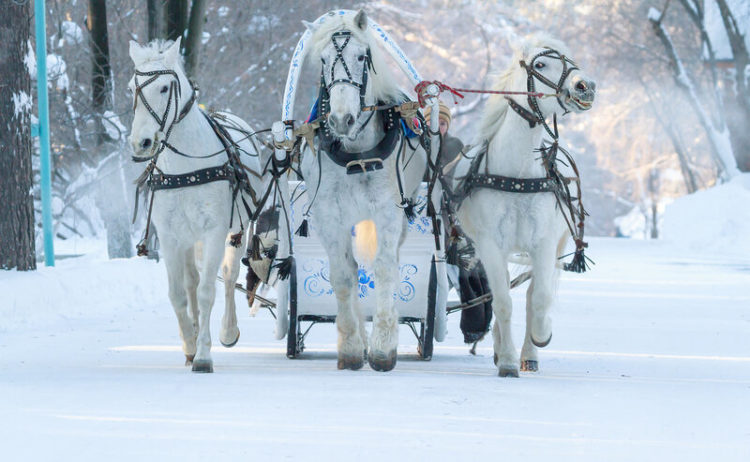 Ял концерты (13.12.20)
