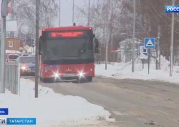 Прокуратура Татарстана выявила десятки нарушений у приюта для бездомных собак